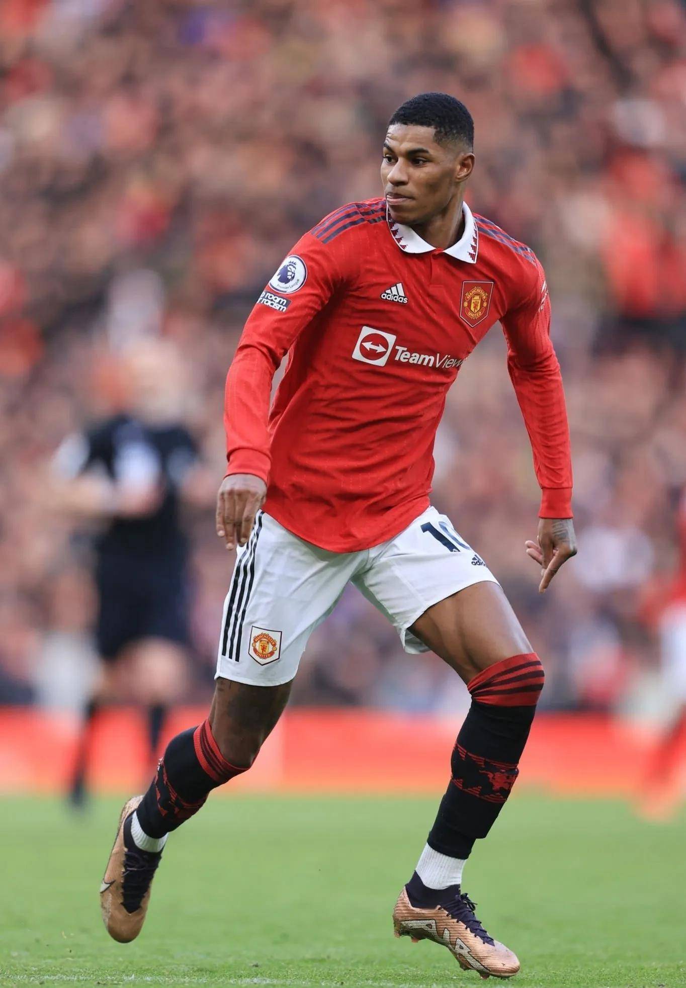 更为他们提 更为他们提